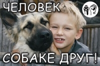 Детдомовские дети окажут помощь бездомным собакам