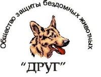 Сыктывкарский приют