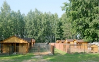 Пансионаты и гостиницы для кошек и собак