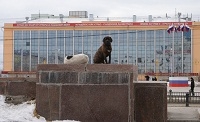 Приют для бездомных животных в Якутске