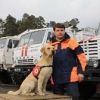 Собаки-спасатели помогают людям